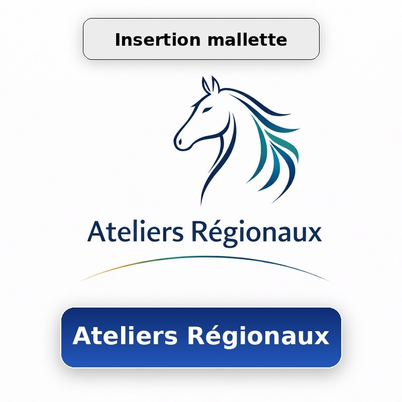 Atelier régional : Module communication Insertion mallette