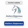 Atelier régional : Module communication Insertion mallette