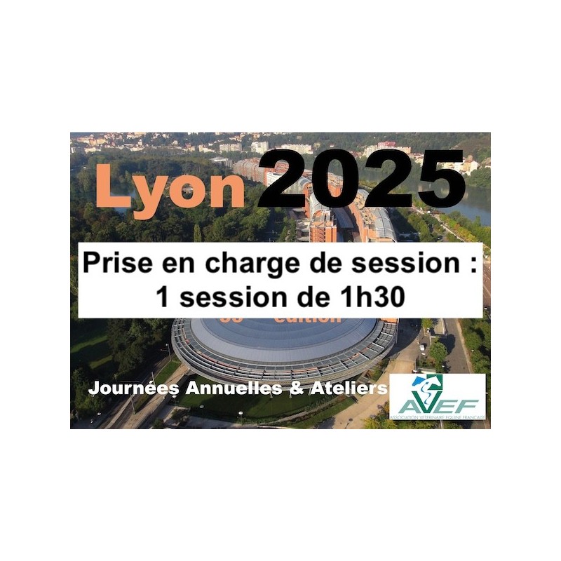 Lyon 2025 : Prise en charge de session : 1 session de 1h30