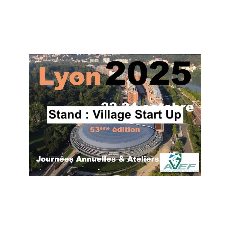 Lyon 2025 : Stand : Village Start Up Lyon 2025 : Stand : Village Start Up