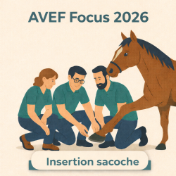 FOCUS 2026 : Partenariat - Insertion publicité sacoche