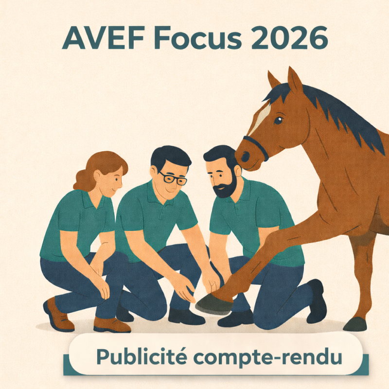 FOCUS 2026 : Partenariat - Insertion publicité compte-rendu