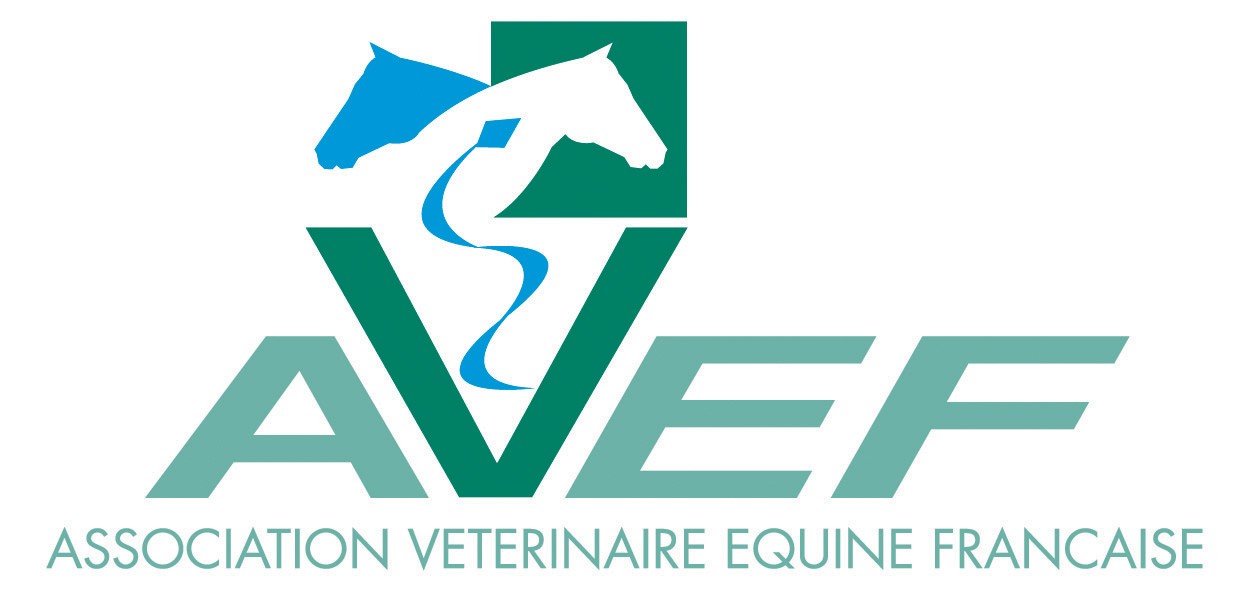 AVEF partenariats